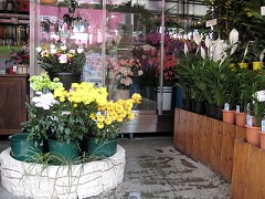 �݂Ȃ̐��ԓX�@�X�܉摜�Q