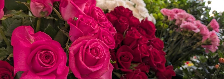 ���ԁA�ԑ��A�A�����W�����g�ȂǁA�t�����[�M�t�g�݂̂Ȃ̐��ԓX/ ��ʌ��F�쒬